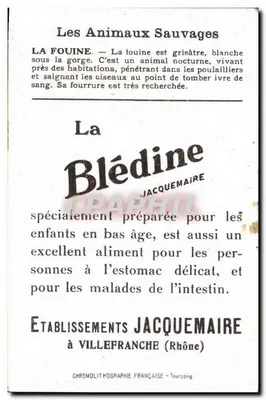 Fouine — ilustração animal — Blédine, editor Jacquesmaire — Verso