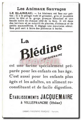 Blaireau — estudo científico — Estabelecimentos Jacquemaire — Verso
