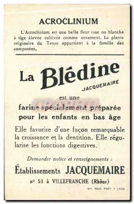 Blédine — Acroclinium — wydawca Jacquemaire, nr 51 — Rewers