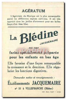 Agératum — Blédine — Établissements Jacquemaire, n°51 à Villefranche (Rhône) — Rewers