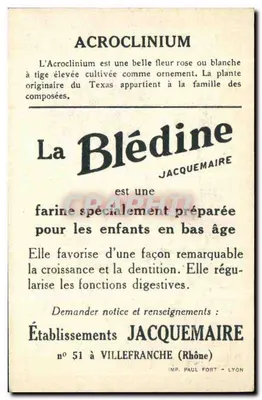 Blédine — Acroclinium — wydawca Jacquemaire, nr 51 — Rewers