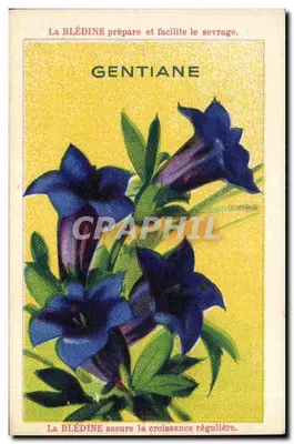 Gentiana — propaganda para a Blédine — editor Jacquemaire, n°51 a Villefranche (Rhone)