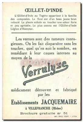 FLOR DE LA INDIA — Planta medicinal — Etablissements Jacquemaire — Reverso