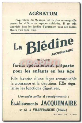 Blédine — Agératum — Etablissements Jacquemaire, nr 51 w Villefranche (Rhône) — Rewers