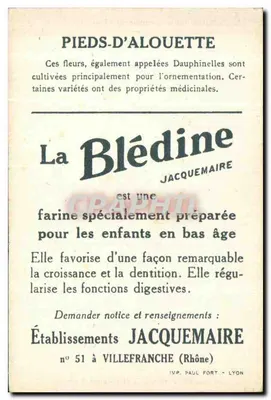 Pés de Alouette — Blédine — Editor Jacquemaire, n° 51 à Villefranche (Rhône) — Verso