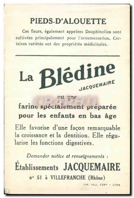 Pieds d'Alouette — Blédine — Établissements Jacquemaire — Rewers