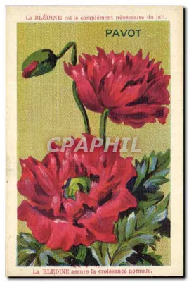 Pavoto — propaganda para a Blédine — editor Jacquemaire, n° 51 em Villefranche (Rhone)