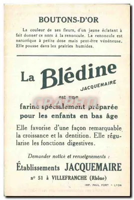 Boutons d'Or — Blédine — Wydawca Jacquemaire, nr 51 Villefranche (Rhone) — Rewers