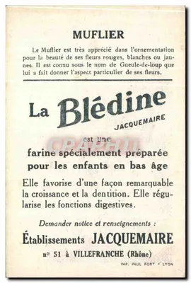 Blédine — Muflier — Editor Jacquemaire, n°51 — Verso