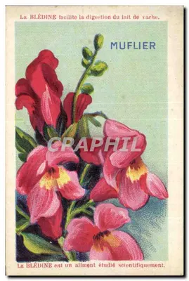 Blédine — Muflier — Editor Jacquemaire, Lyon