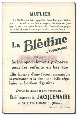 Blédine — Muflier — Editor Jacquemaire, Lyon — Verso