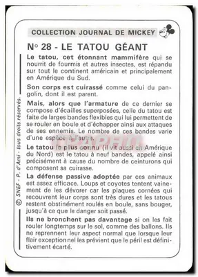 Tatu gigante — Coleção Journal de Mickey, n°28 — SNEF — Verso