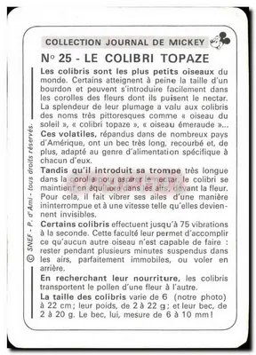 Kolibry topazowe — Kolekcja Dziennika Mickey'ego, N°25 — SNEF — Rewers
