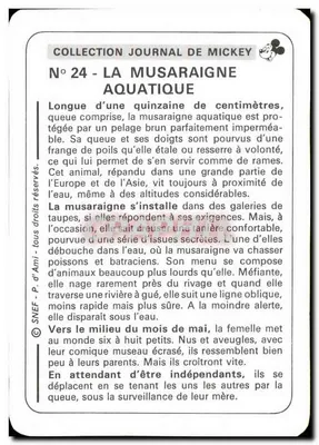 Myszy wodne — Kolekcja Journal de Mickey, nr 24 — SNEF - P. d'Ami — Rewers