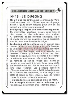 Dugongo — Coleção Diário de Mickey — N°16 — Verso