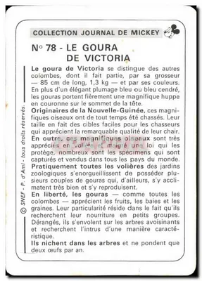 Goura de Victoria — Coleção Journal de Mickey, n°78 — SNEF — Verso