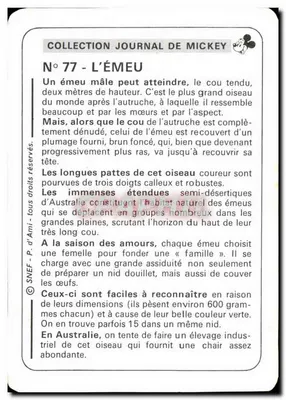 Emu — Kolekcja Dziennika Mickey’ego, nr 77 — SNEF — Rewers