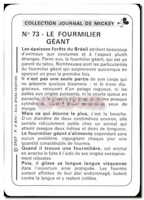 Formiga gigante — Coleção Journal de Mickey, n°73 — SNEF — Verso