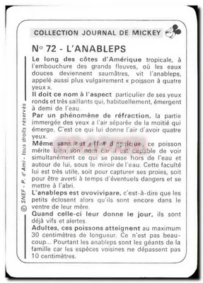 Anableps - Peixe de quatro olhos — Coleção Jornal de Mickey, N°72, SNEF — Verso
