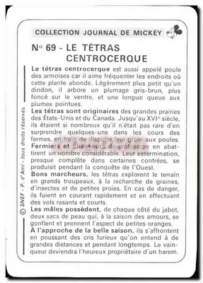 Tétrás centrocerque — Coleção Journal de Mickey, n°69 — SNEF — Verso