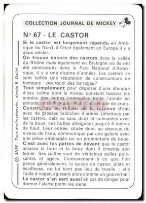 Castor — Kolekcja Dziennika Mickey’ego — SNEF — Rewers