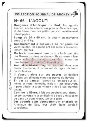 Agouti — Coleção Journal de Mickey — N°66 — Verso
