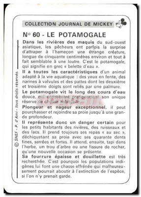 Potamogale — Coleção Jornal de Mickey — N°60 — Verso