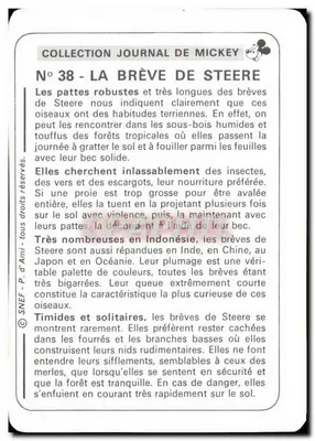 Brève de Steere — Coleção Diário de Mickey — N°38 — SNEF — Verso
