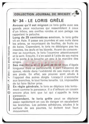 Loris grêle — Coleção Jornal de Mickey, N°34 — SNEF — Verso