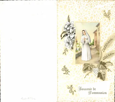 आधुनिक पोस्टकार्ड सौन्दर्य यादगार 1961