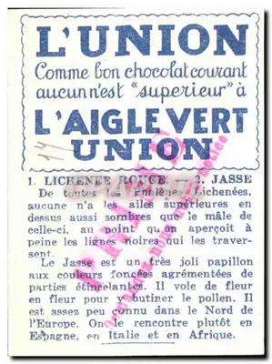 Lichenee Rouge i Jasse — ilustracje i opis — Union — Rewers