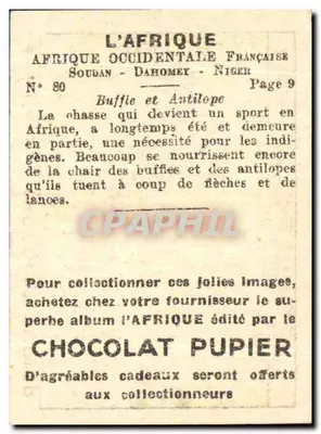 Sudão-Dahomey-Níger — Javali e Antílope — Editado pelo Chocolat Pupier — Verso