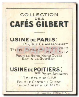 Garça-azul — Série II — Cafés Gilbert N°11 — Verso