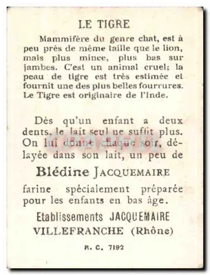 Tygrys — Bon Point — Zakłady Jacquemaire — Rewers