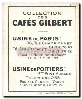 Águia careca — Série II — Cafés Gilbert n°9 — Verso
