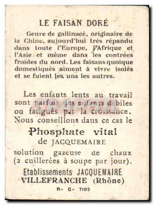 Faisan doré — Bon Point — Éd. JACQUEMAIRE, n° 7192 — Verso