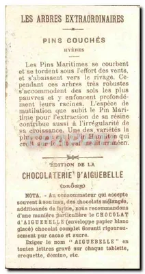 Pins couchés à Hyères — Chocolat d'Aiguebelle — Rewers