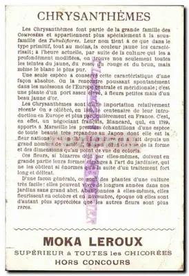 Cravos — O Professor: A. Corvoisier — Moka Leroux — Verso