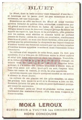 Blütenstrauß aus Glockenblumen — Der Lehrer: A. CORVOISIER — Rückseite