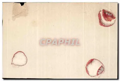 Jeux d'attraction — Le jeu de quilles — éditeur non visible — Verso