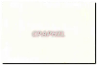 Hippopotamy (Afryka) — ZOO w Bois de Vincennes — seria 91 — Rewers