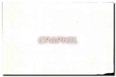 Zoo w Bois de Vincennes — Mouflony (Afryka) — seria 87 — Rewers