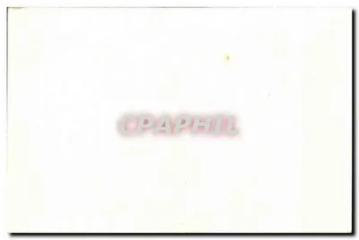 Cangurus — Parque Zoológico do Bois de Vincennes — série 14 — Verso