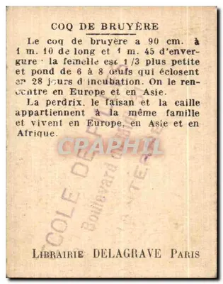 Galo da Bruyère ou Tétrâs — Livraria Delagrave Paris — Verso