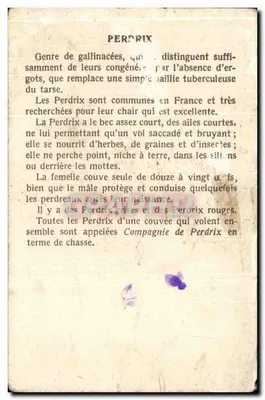 Perdrix — ilustração de duas perdizes em um paisagem — editor não visível — Verso