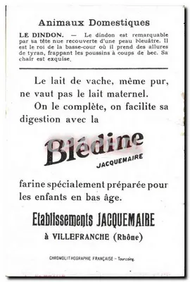 Imagem Dindon Bledine — Verso
