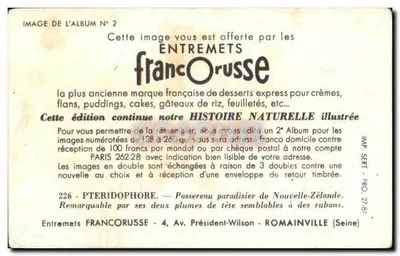 Passereau paradisier — PTERIDOPHORE — Entremets FrancOrusse nr 226 — Rewers