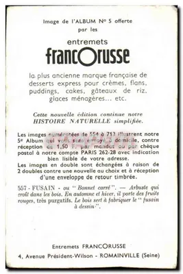 Fusain — Krzew z czerwonymi owocami — Entremets FrancOrusse, n°557 — Rewers