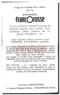 Anêmone dos bosques — Sylvie — Entremets FrancORusse n°568 — Verso