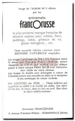 Jasne kwiaty lasowe — Roślina bulwowa — Entremets FrancOrusse, nr 570 — Rewers